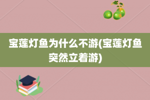 宝莲灯鱼为什么不游(宝莲灯鱼突然立着游)