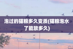 泡过的猫粮多久变质(猫粮泡水了能放多久)