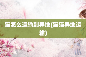 猫怎么运输到异地(猫猫异地运输)