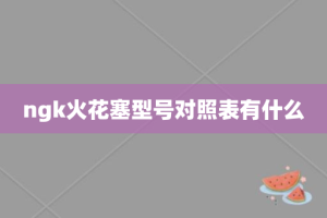 ngk火花塞型号对照表有什么