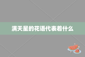 满天星的花语代表着什么