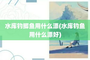 水库钓鲫鱼用什么漂(水库钓鱼用什么漂好)