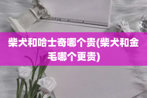 柴犬和哈士奇哪个贵(柴犬和金毛哪个更贵)