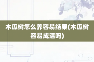 木瓜树怎么养容易结果(木瓜树容易成活吗)