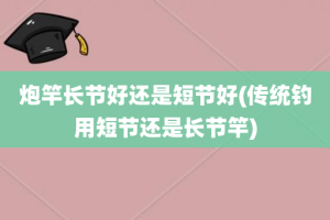 炮竿长节好还是短节好(传统钓用短节还是长节竿)