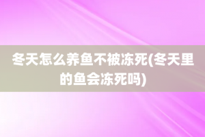 冬天怎么养鱼不被冻死(冬天里的鱼会冻死吗)