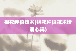 棉花种植技术(棉花种植技术培训心得)