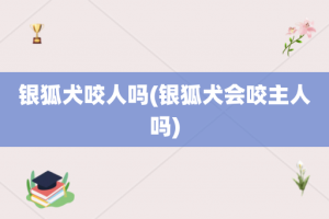 银狐犬咬人吗(银狐犬会咬主人吗)