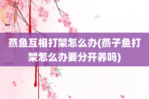 燕鱼互相打架怎么办(燕子鱼打架怎么办要分开养吗)