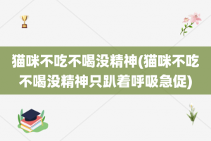 猫咪不吃不喝没精神(猫咪不吃不喝没精神只趴着呼吸急促)