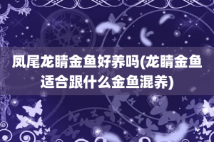 凤尾龙睛金鱼好养吗(龙睛金鱼适合跟什么金鱼混养)