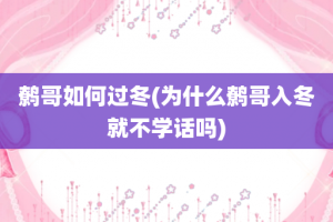 鹩哥如何过冬(为什么鹩哥入冬就不学话吗)