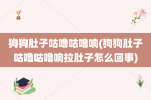 狗狗肚子咕噜咕噜响(狗狗肚子咕噜咕噜响拉肚子怎么回事)