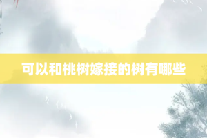 可以和桃树嫁接的树有哪些