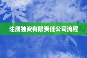 注册独资有限责任公司流程