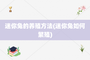 迷你兔的养殖方法(迷你兔如何繁殖)