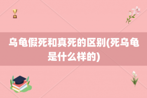 乌龟假死和真死的区别(死乌龟是什么样的)