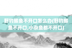 野钓鲫鱼不开口怎么办(野钓鲫鱼不开口,小杂鱼都不开口)