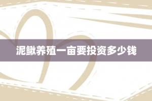 泥鳅养殖一亩要投资多少钱
