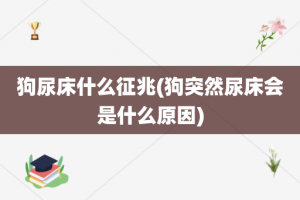 狗尿床什么征兆(狗突然尿床会是什么原因)