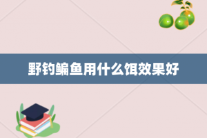 野钓鳊鱼用什么饵效果好