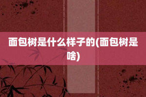 面包树是什么样子的(面包树是啥)