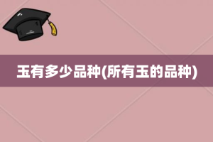 玉有多少品种(所有玉的品种)