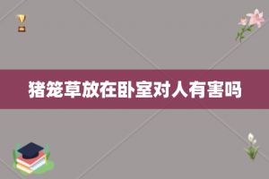 猪笼草放在卧室对人有害吗