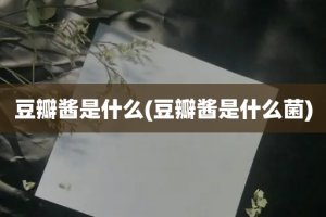 豆瓣酱是什么(豆瓣酱是什么菌)