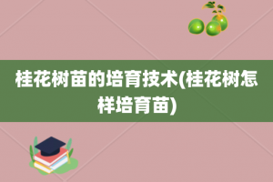 桂花树苗的培育技术(桂花树怎样培育苗)