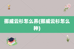 挪威云杉怎么养(挪威云杉怎么种)