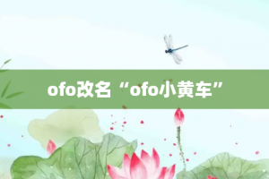 ofo改名“ofo小黄车”