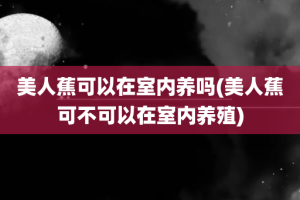 美人蕉可以在室内养吗(美人蕉可不可以在室内养殖)