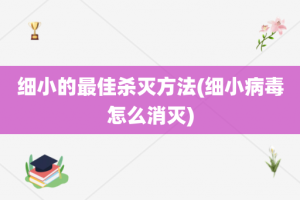 细小的最佳杀灭方法(细小病毒怎么消灭)