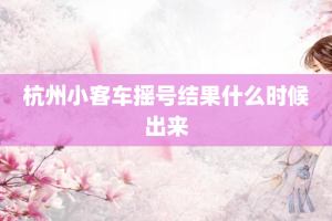 杭州小客车摇号结果什么时候出来