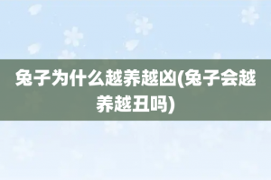 兔子为什么越养越凶(兔子会越养越丑吗)