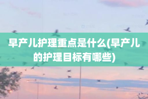 早产儿护理重点是什么(早产儿的护理目标有哪些)