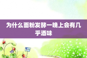 为什么面粉发酵一晚上会有几乎酒味