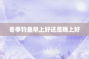 冬季钓鱼早上好还是晚上好