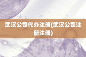 武汉公司代办注册(武汉公司注册注册)