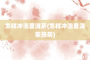 怎样冲泡普洱茶(怎样冲泡普洱茶熟茶)