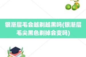 银渐层毛会越剃越黑吗(银渐层毛尖黑色剃掉会变吗)