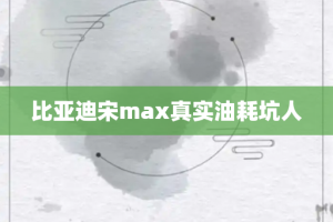 比亚迪宋max真实油耗坑人