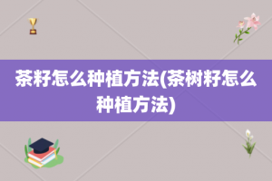 茶籽怎么种植方法(茶树籽怎么种植方法)