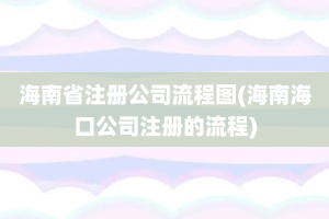 海南省注册公司流程图(海南海口公司注册的流程)