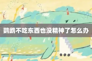 鹦鹉不吃东西也没精神了怎么办