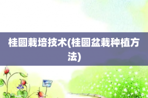 桂圆栽培技术(桂圆盆栽种植方法)