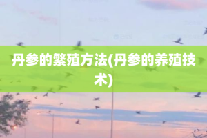 丹参的繁殖方法(丹参的养殖技术)