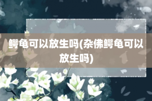 鳄龟可以放生吗(杂佛鳄龟可以放生吗)