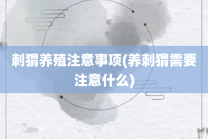 刺猬养殖注意事项(养刺猬需要注意什么)